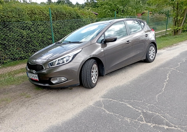 Kia Ceed cena 42000 przebieg: 120000, rok produkcji 2013 z Bydgoszcz małe 562